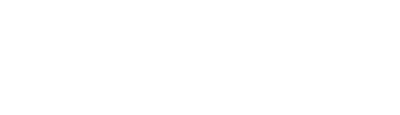 The Trails Logo